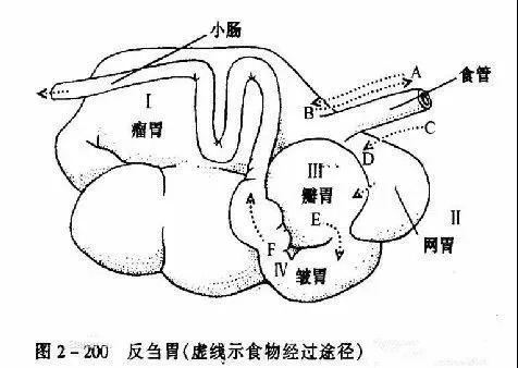 国产女人高潮毛片