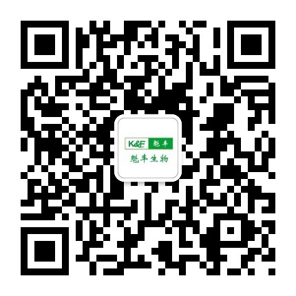 国产女人高潮毛片