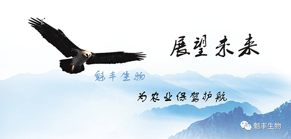国产女人高潮毛片