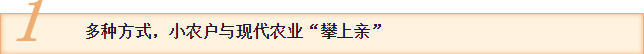 国产女人高潮毛片