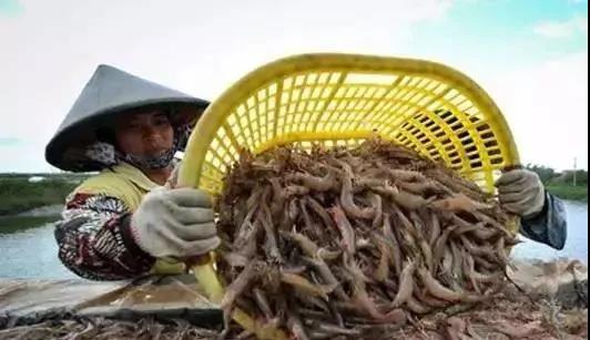 国产女人高潮毛片