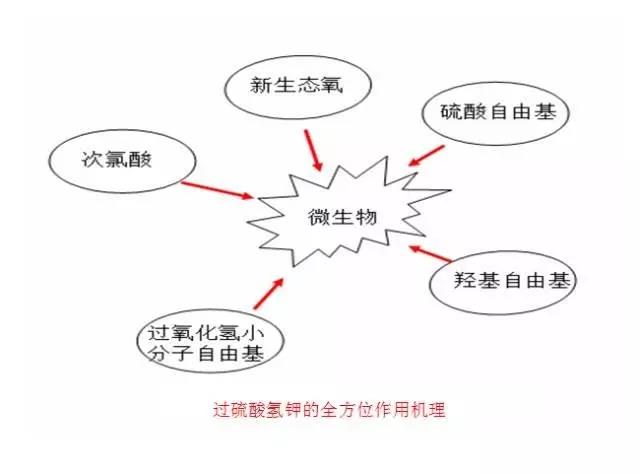 国产女人高潮毛片