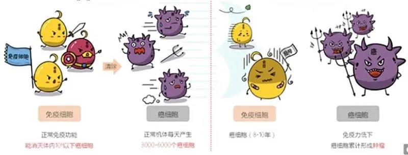 国产女人高潮毛片