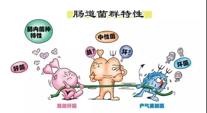 国产女人高潮毛片