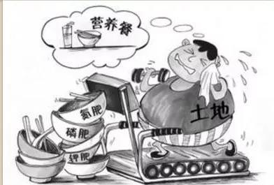 国产女人高潮毛片