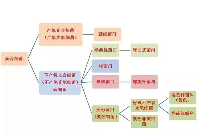 国产女人高潮毛片