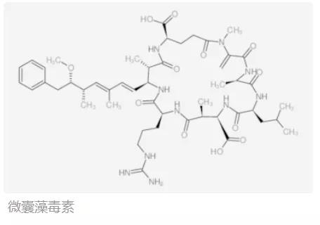 国产女人高潮毛片