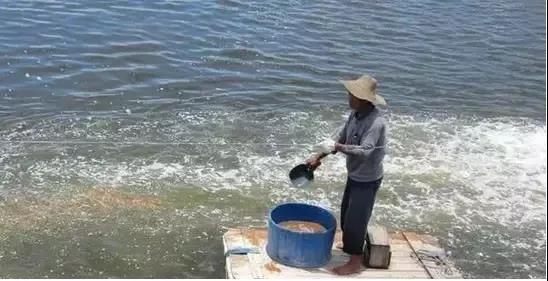 国产女人高潮毛片