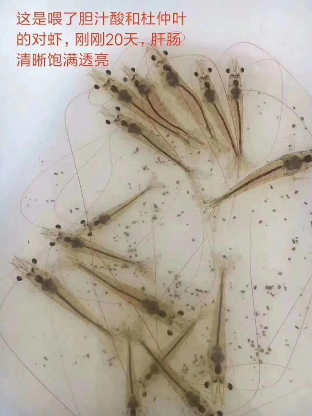 国产女人高潮毛片