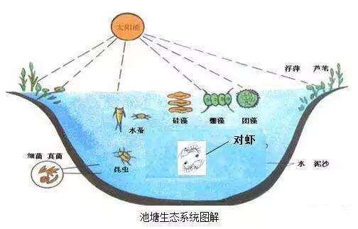 国产女人高潮毛片