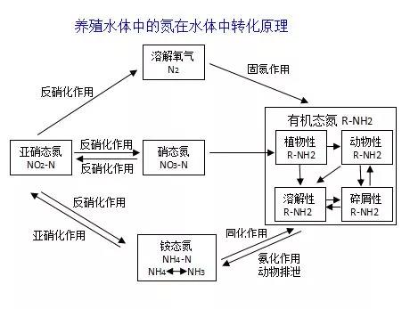 国产女人高潮毛片