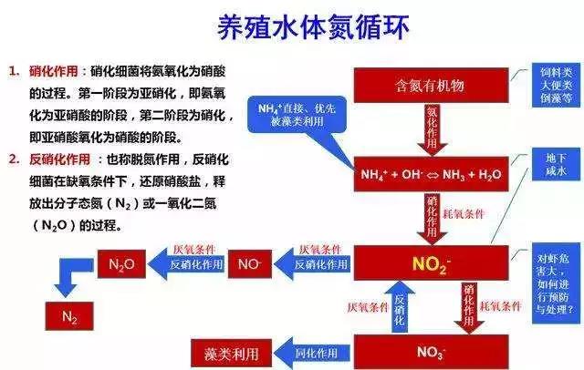 国产女人高潮毛片