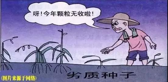 国产女人高潮毛片