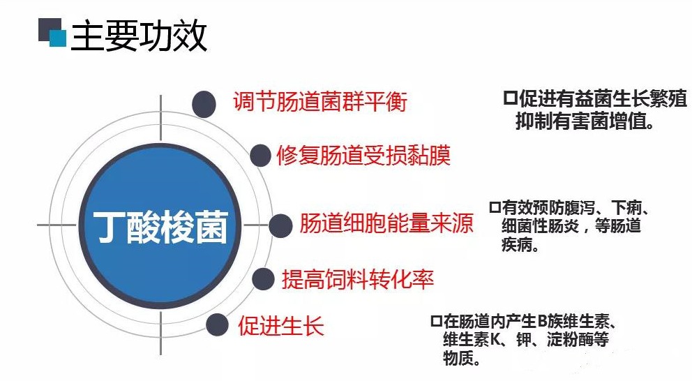 国产女人高潮毛片