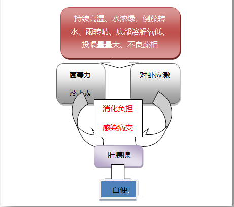 国产女人高潮毛片