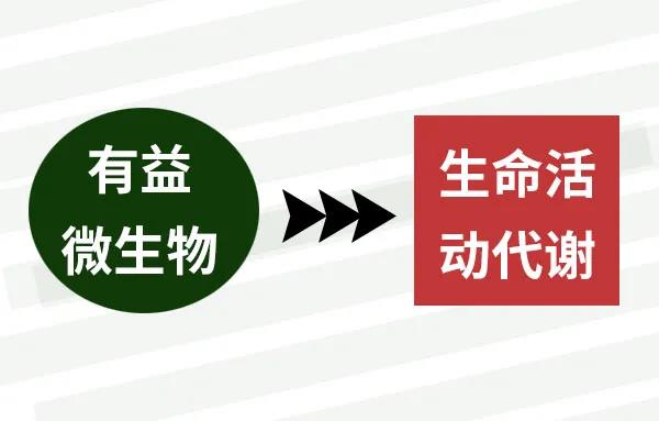 国产女人高潮毛片