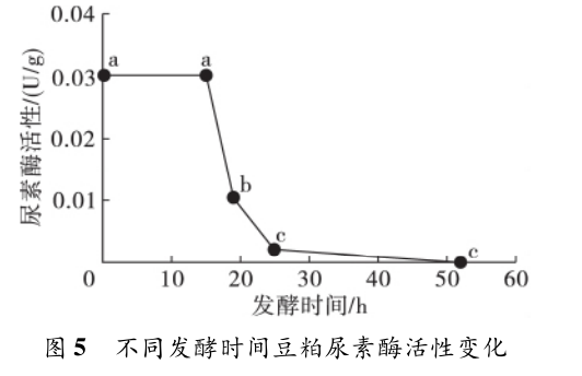 国产女人高潮毛片