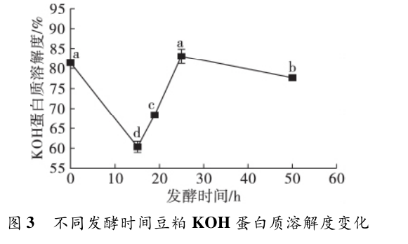 国产女人高潮毛片