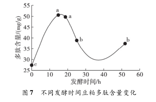 国产女人高潮毛片