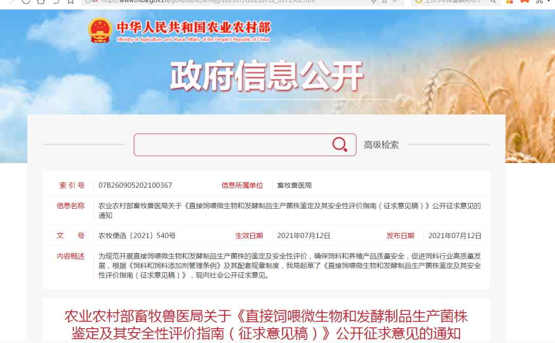 国产女人高潮毛片