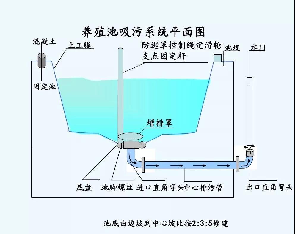 国产女人高潮毛片