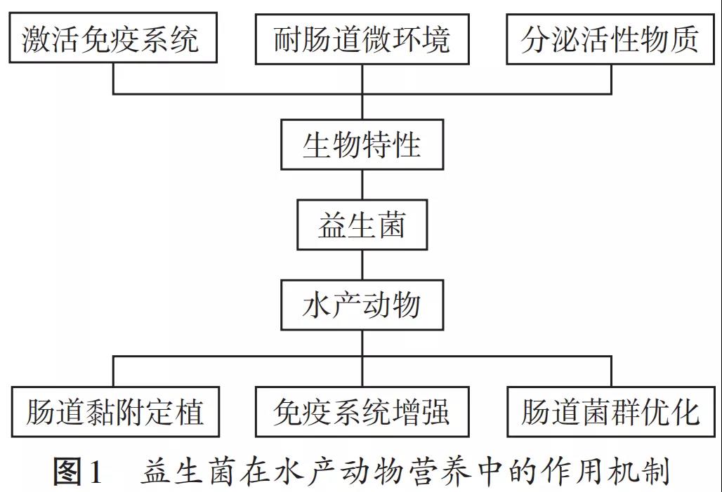 国产女人高潮毛片