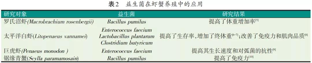 国产女人高潮毛片