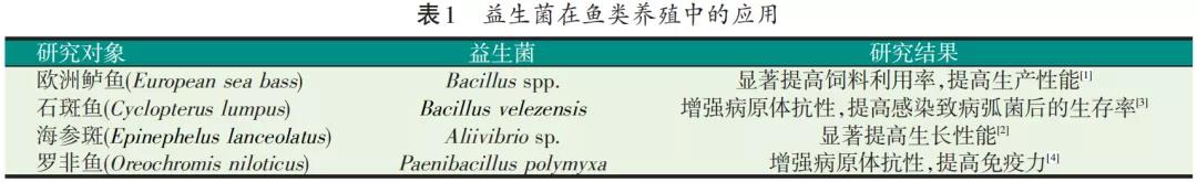 国产女人高潮毛片