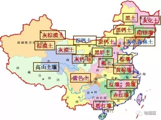 国产女人高潮毛片