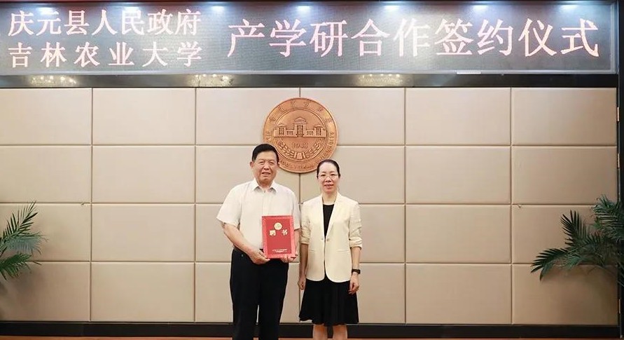 国产女人高潮毛片
