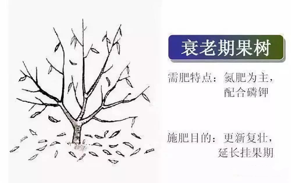 国产女人高潮毛片