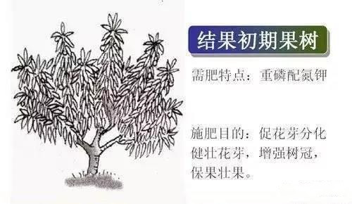 国产女人高潮毛片