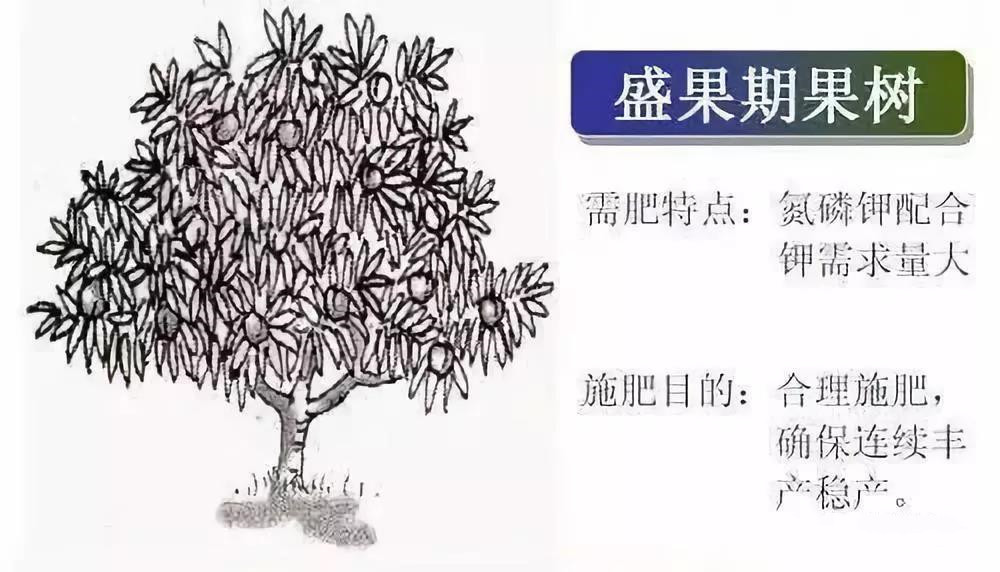 国产女人高潮毛片