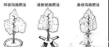 国产女人高潮毛片