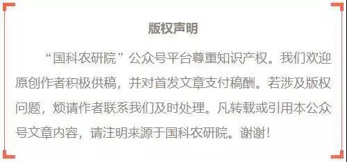 国产女人高潮毛片