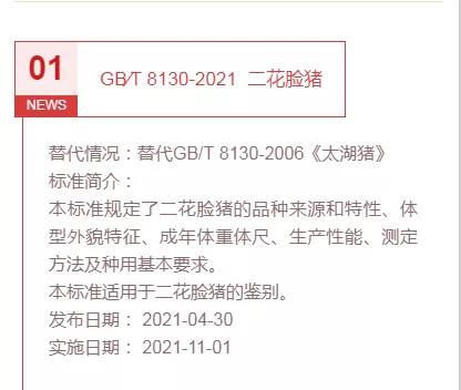 国产女人高潮毛片