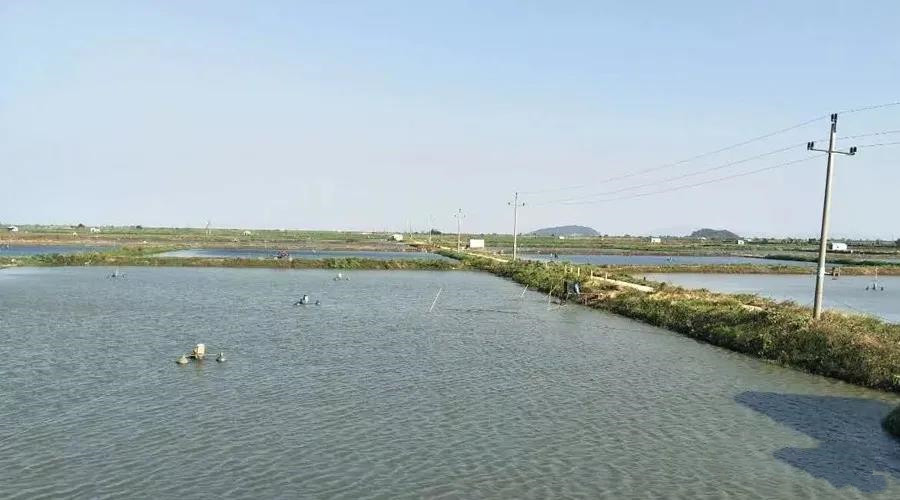 国产女人高潮毛片