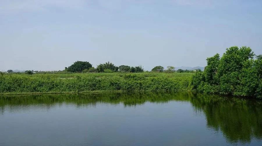 国产女人高潮毛片