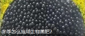 国产女人高潮毛片