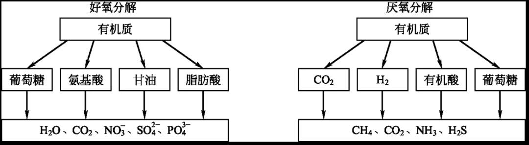 国产女人高潮毛片