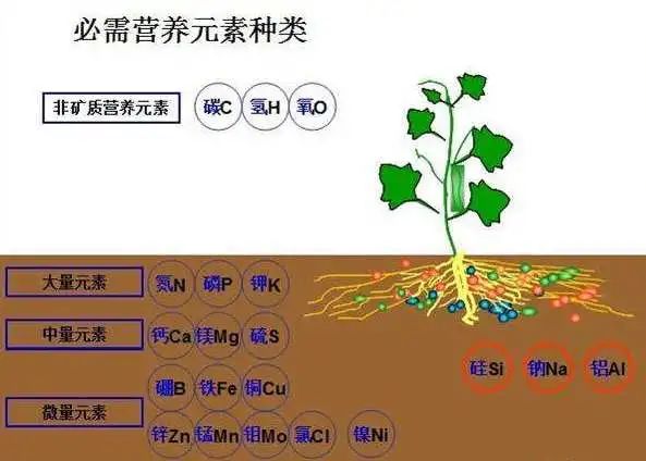 国产女人高潮毛片