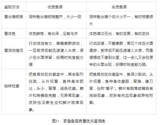 国产女人高潮毛片