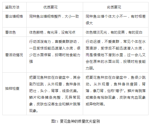 国产女人高潮毛片