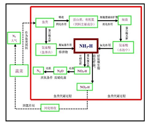 国产女人高潮毛片