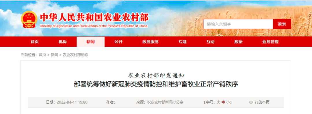 国产女人高潮毛片