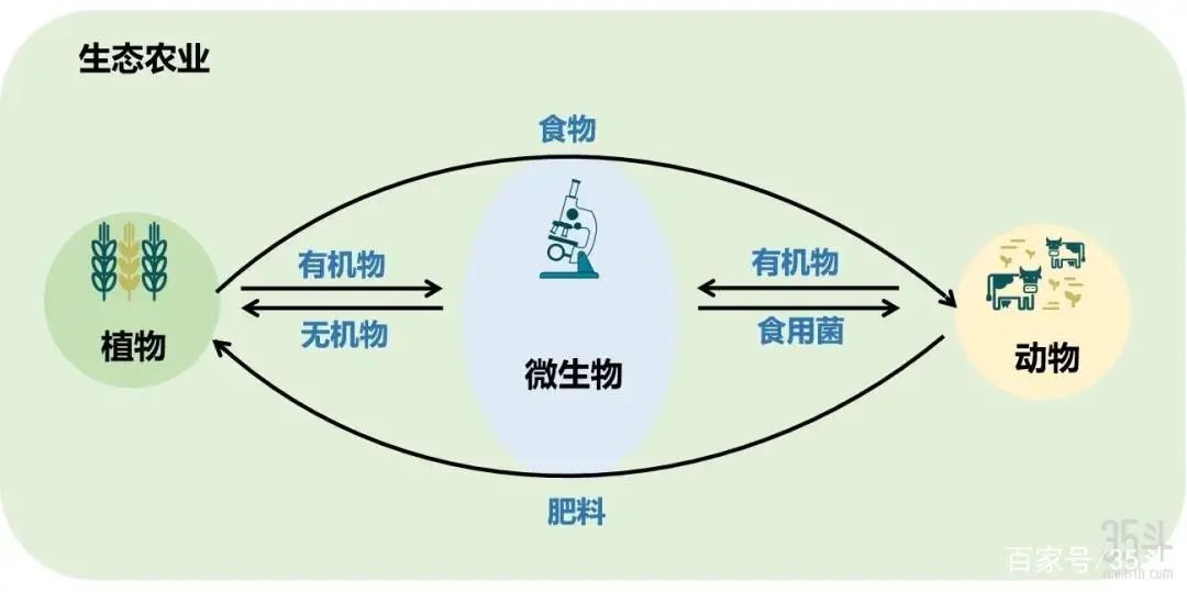 国产女人高潮毛片