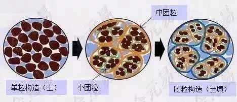 国产女人高潮毛片