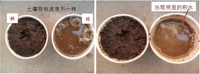 国产女人高潮毛片