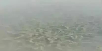国产女人高潮毛片