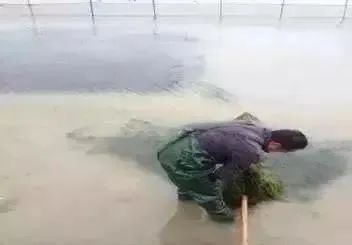 国产女人高潮毛片